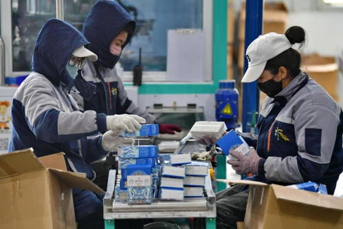 技术赋能，文化铸魂 西藏传统产业的创新转型之路