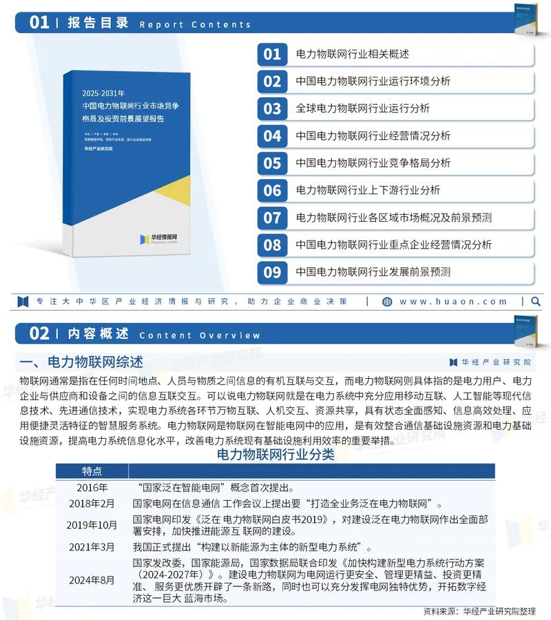 2025年中国电力物联网行业市场调查报告